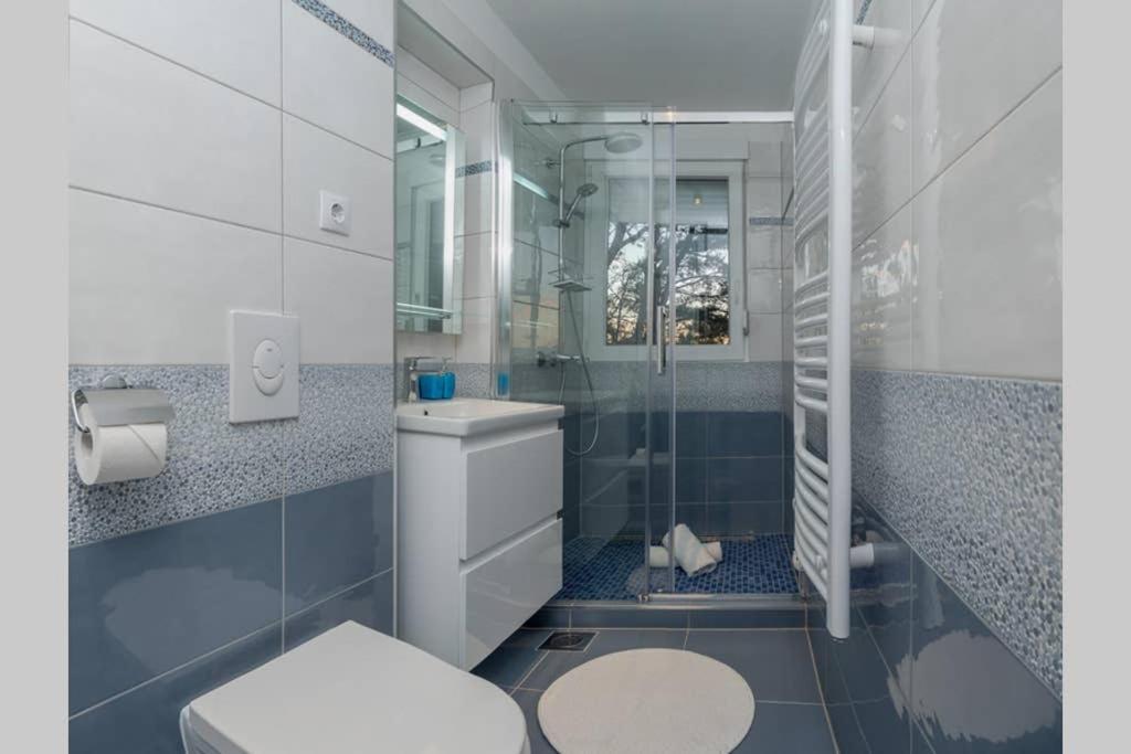 פודסטראנה Villa Graf מראה חיצוני תמונה